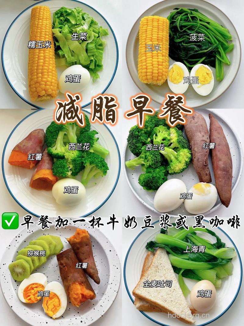 哪些营养早餐有利于减肥