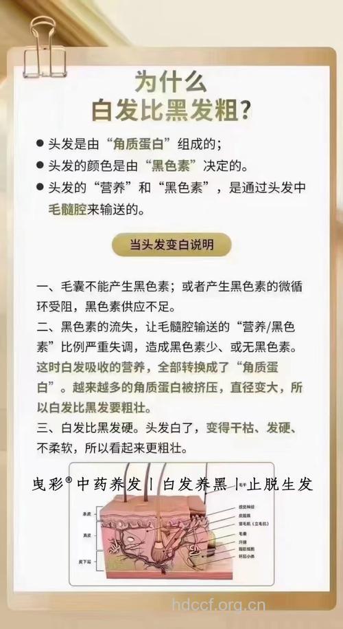 一夜白了头的原因