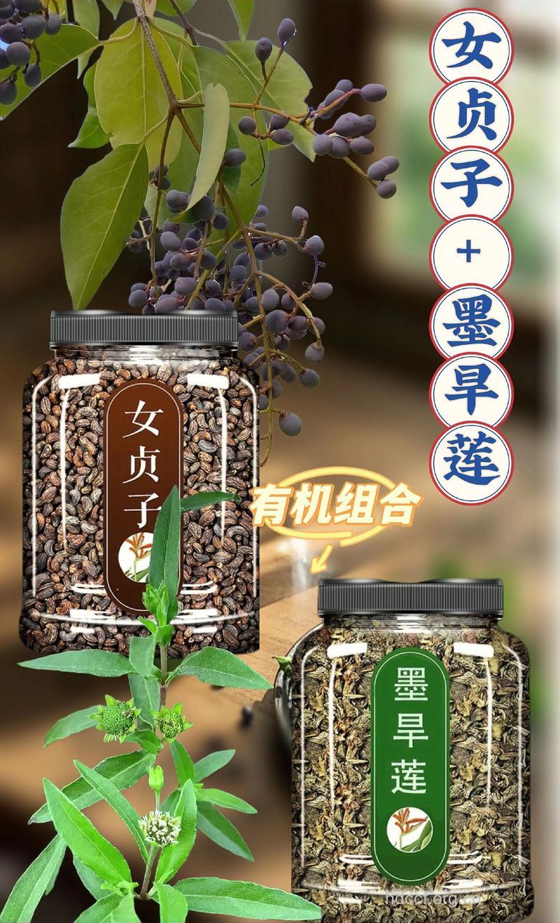 中药泡酒治疗白发是真的吗