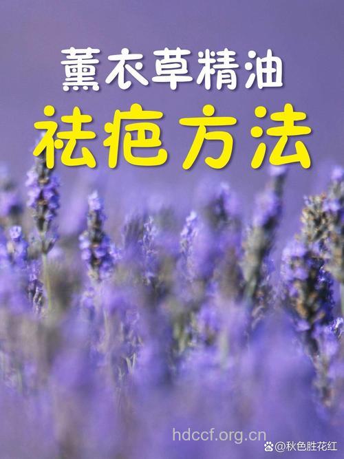 薰衣草精油去疤痕法
