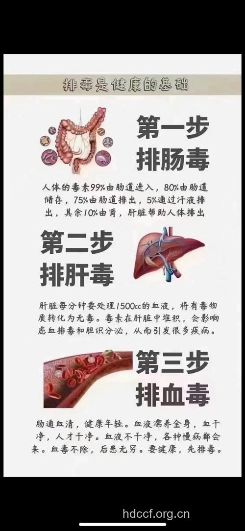 生活不规律怎么排毒清肠
