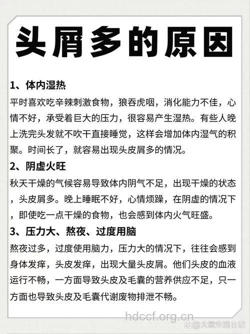 哪些原因导致头皮屑越来越多