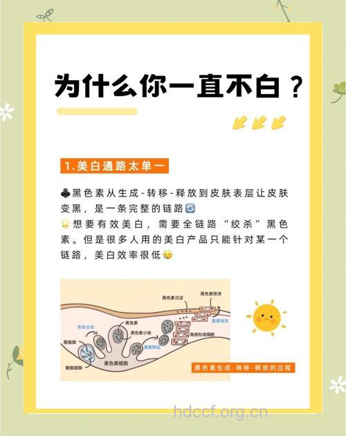 美白路上必须避开的八误区