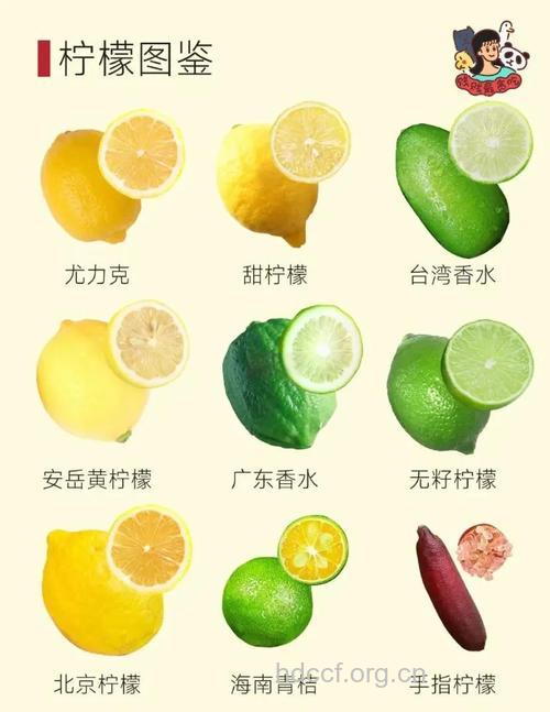 秋季柠檬减肥法 帮你扫清一身毒素