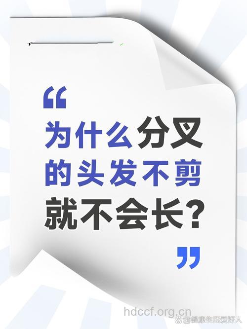 头发分叉后不要自己剪