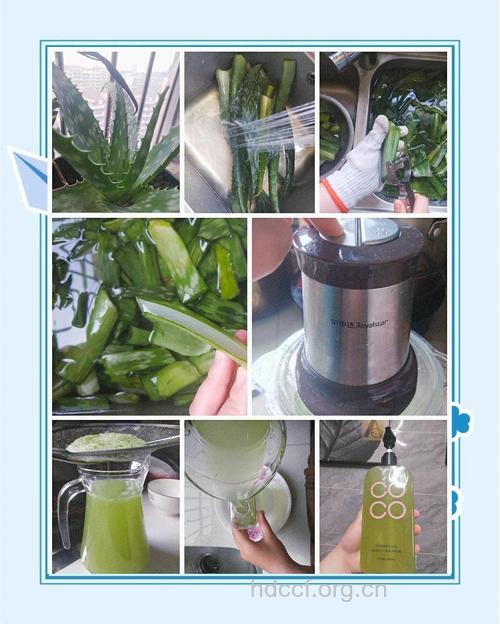 美容芦荟汁，自己diy