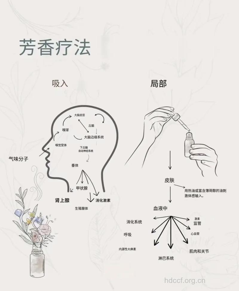 自己动手做芳香疗程