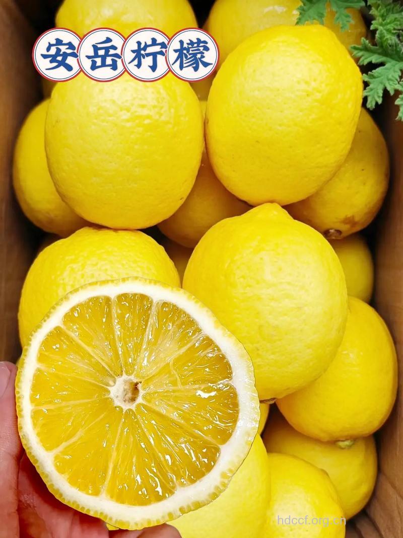 吃什么水果可以减肥 减肥水果首选柠檬