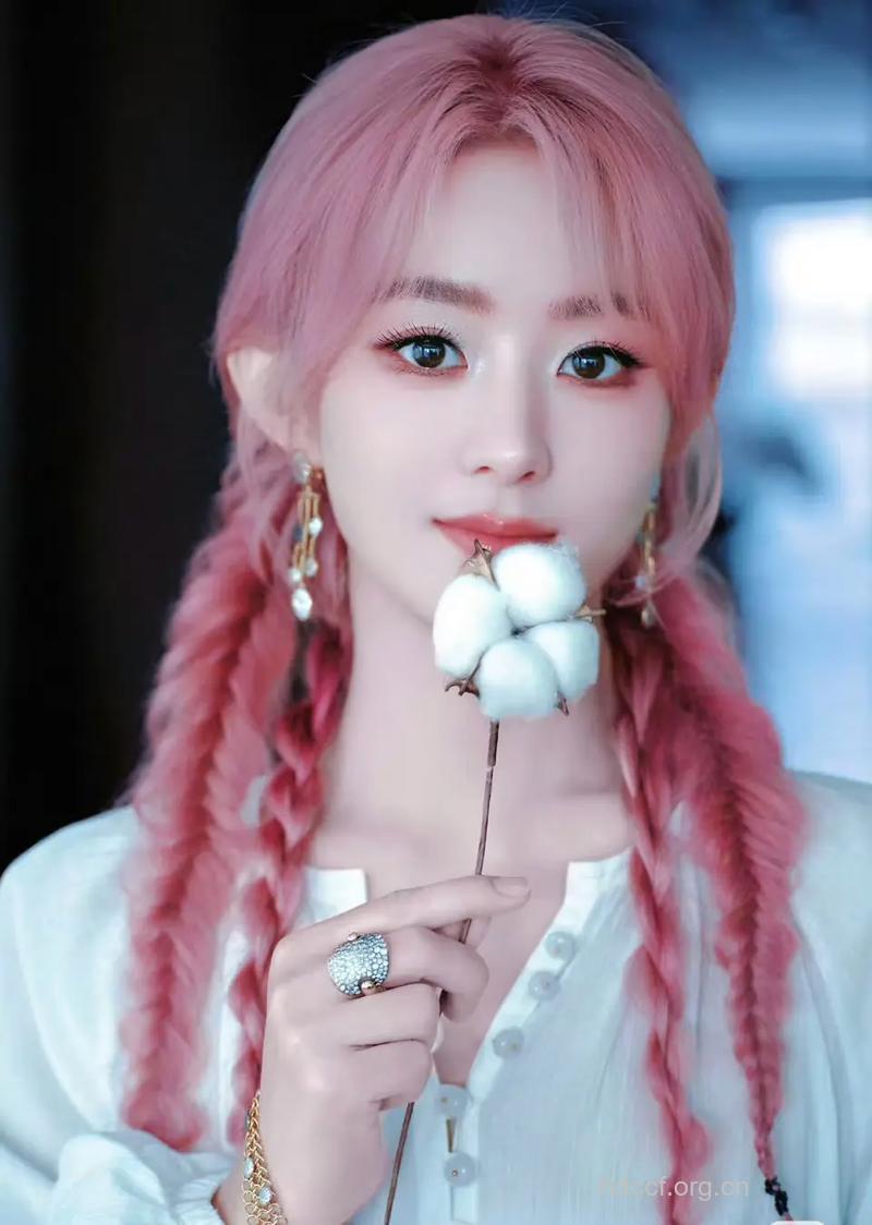 看女星玩转各种辫子发型