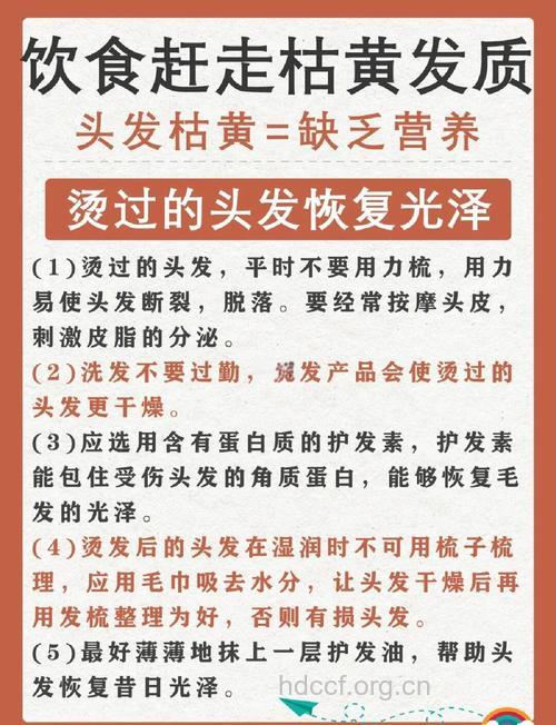 头发枯黄的6大原因