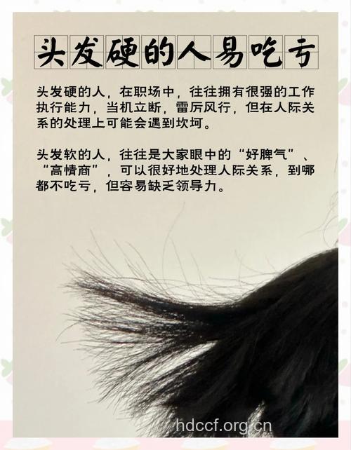 发质看出你性格和健康！