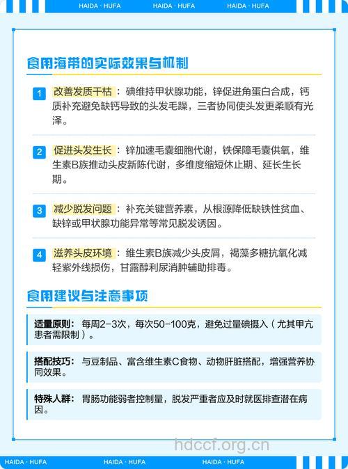 吃海带可以护发吗