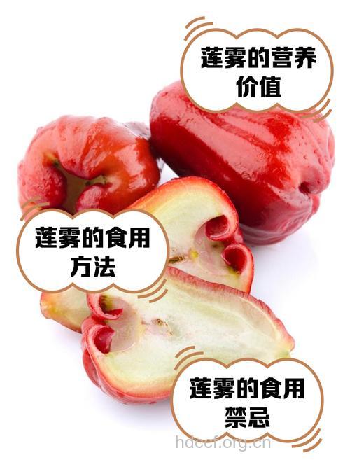 莲雾的做法 莲雾黄瓜减肥效果好