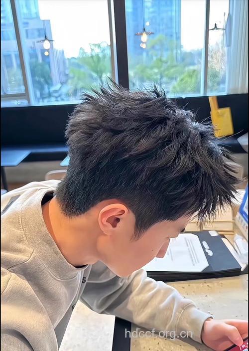 发质硬适合什么发型