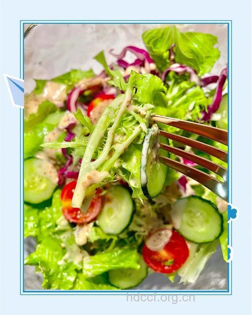 夏天吃哪些蔬菜最减肥?蔬菜沙拉减肥食谱