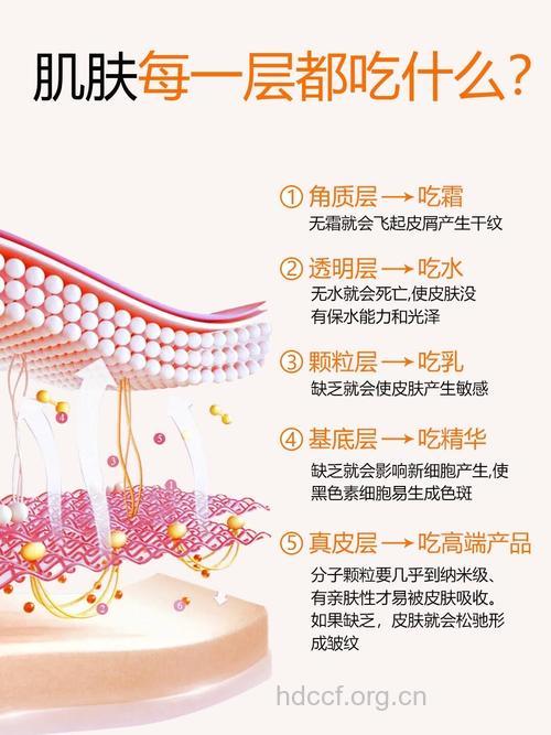 吃这些拯救你衰老的肌肤