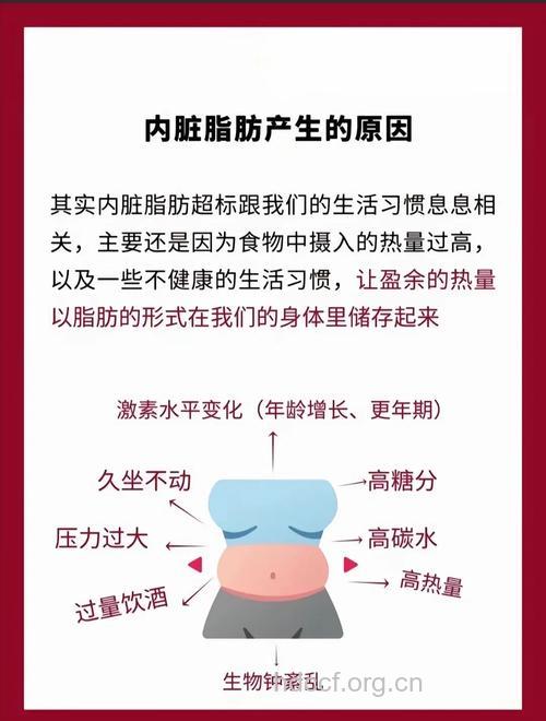 脂肪堆积在这个部位最危险 怎么减好