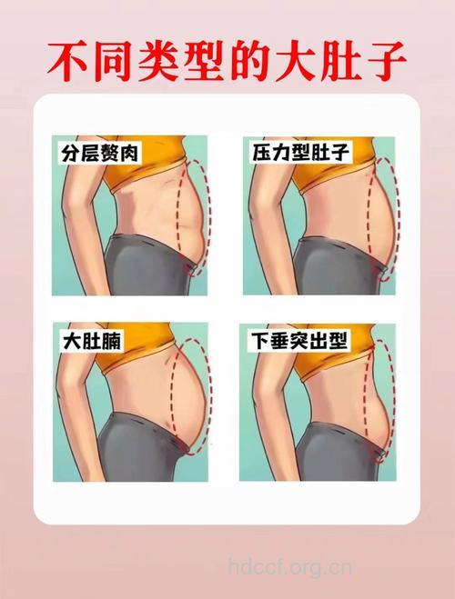 圆圆的肚子和三层肉的肚子区别在哪?