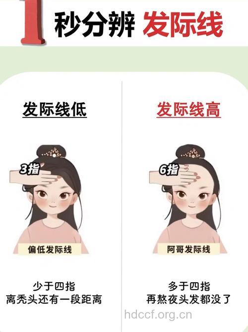 从7种发际线看出你的智慧