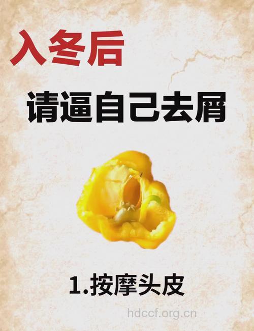 秋季去屑5偏方 便宜又有效