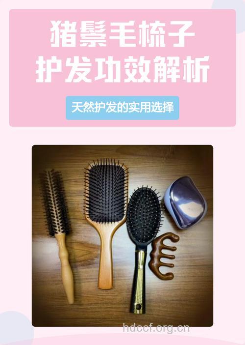 猪鬃发梳的作用