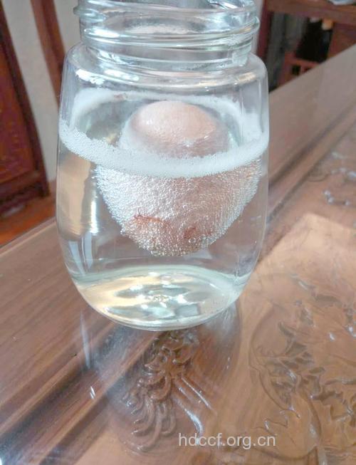 白醋美容法 醋泡鸡蛋如何美容