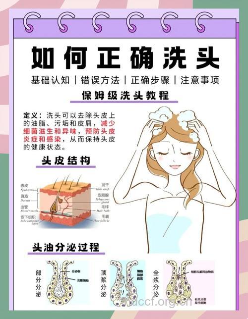 正确洗头的四个关键点