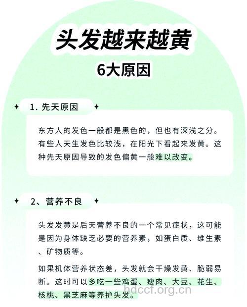 头发枯黄的6个病理性原因