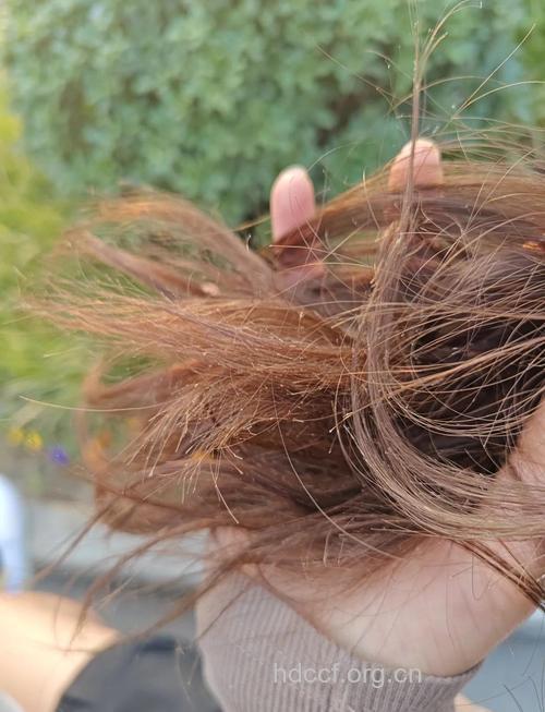 头发护理不当小心秀发变枯发