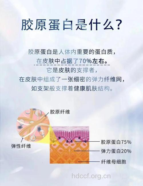 如何留住胶原蛋白 胶原蛋白的重要性