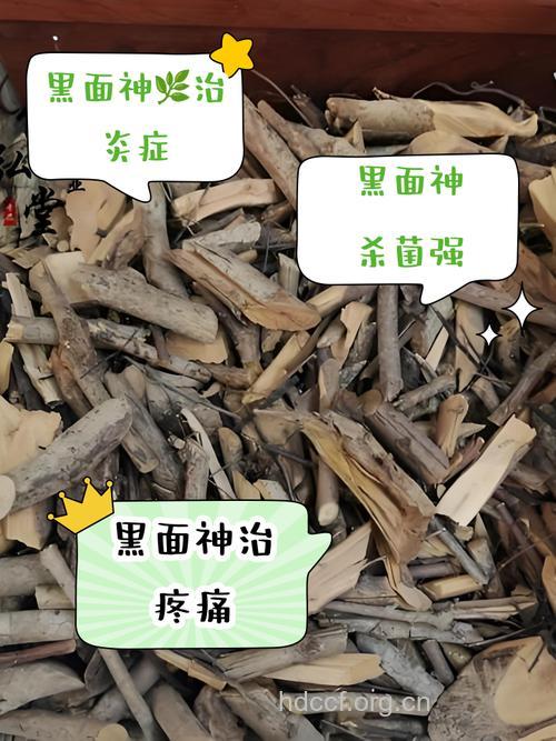 中医教你健康去黑头的偏方