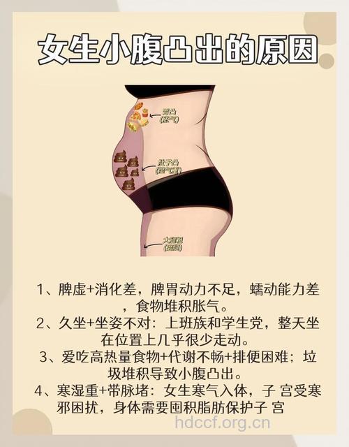 每天6件事告别小肚腩