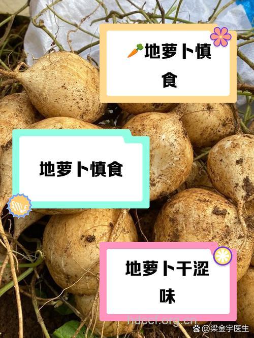 吃萝卜土豆为什么可减肥