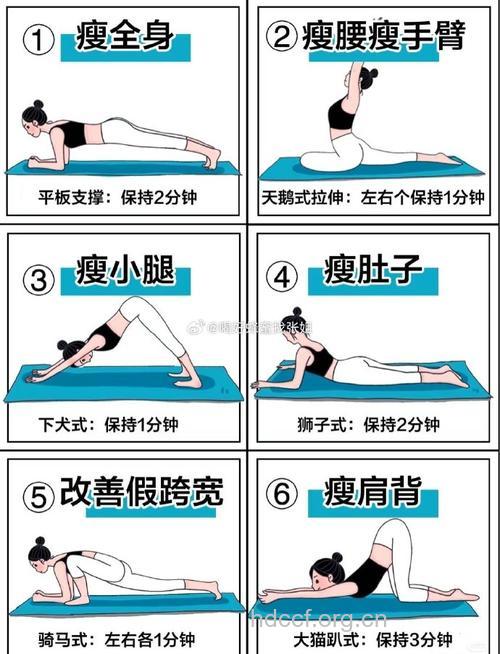 不同类型的小肚腩怎么减