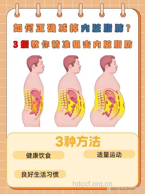 对抗腹部脂肪的4个方法