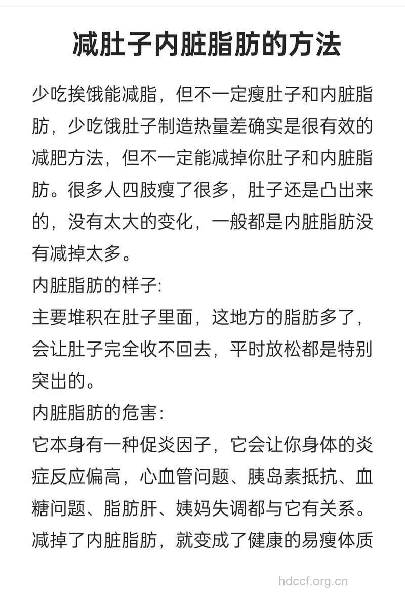 如何有效减掉腹部脂肪