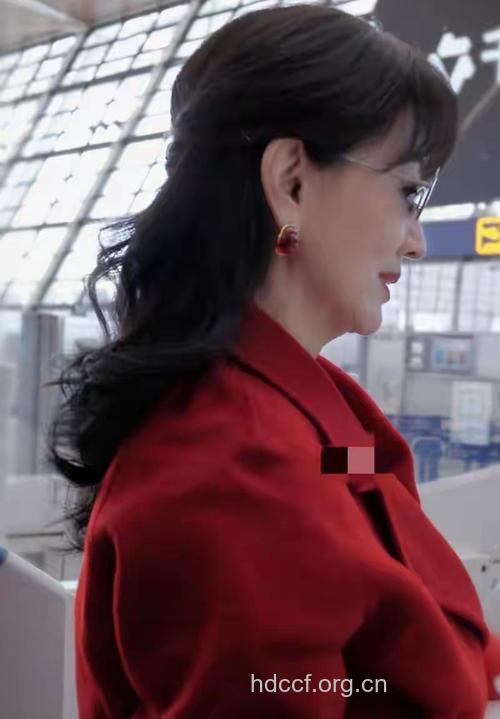 惊艳 赵雅芝50岁熟女优雅发型