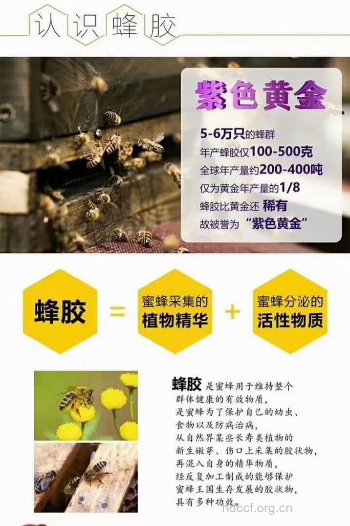 蜂胶可以直接涂抹祛痘吗