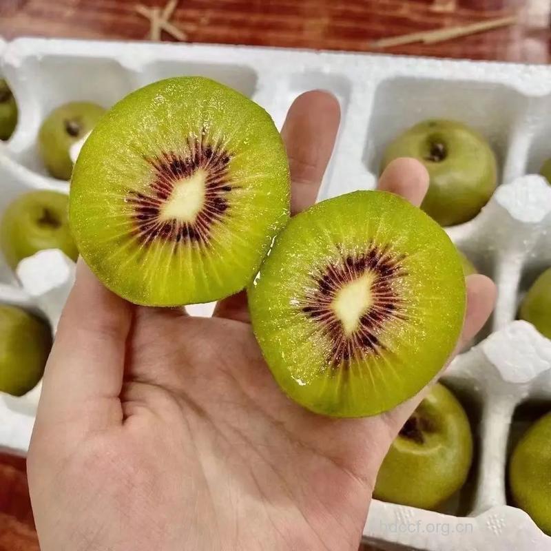 猕猴桃祛斑 女性美容圣果