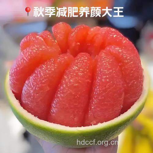 减肥圣品 柚子有效瘦身又养颜