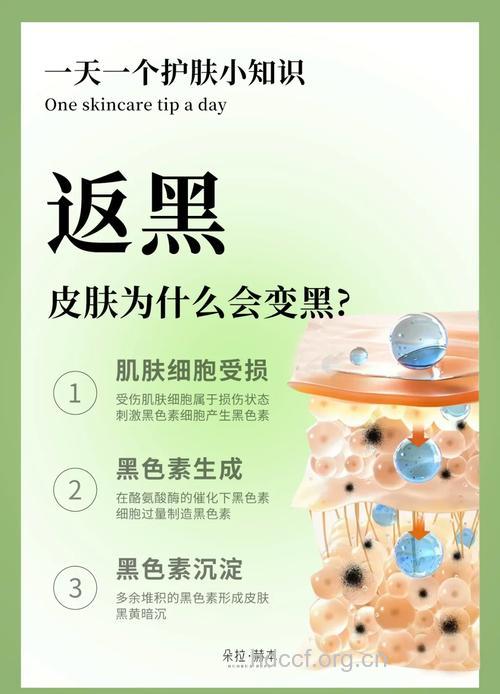 让皮肤变黑的5个原因与针对美白方法