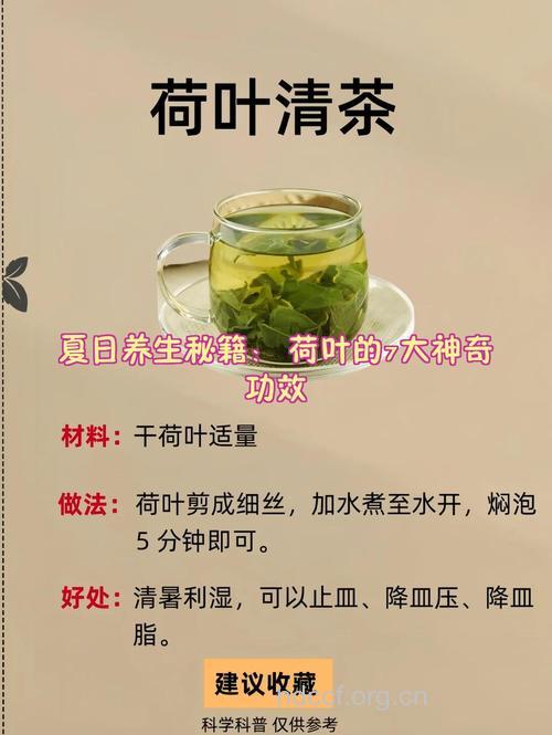 荷叶可以祛湿？怎么喝减肥效果好