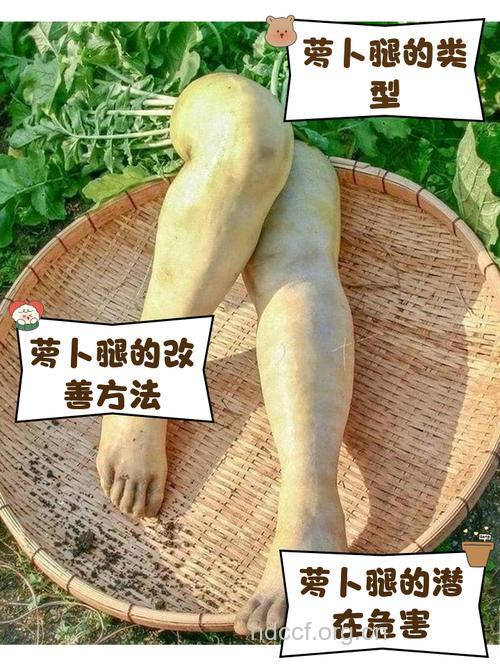 拒绝萝卜腿！这样做萝卜腿10天变成小鸟腿