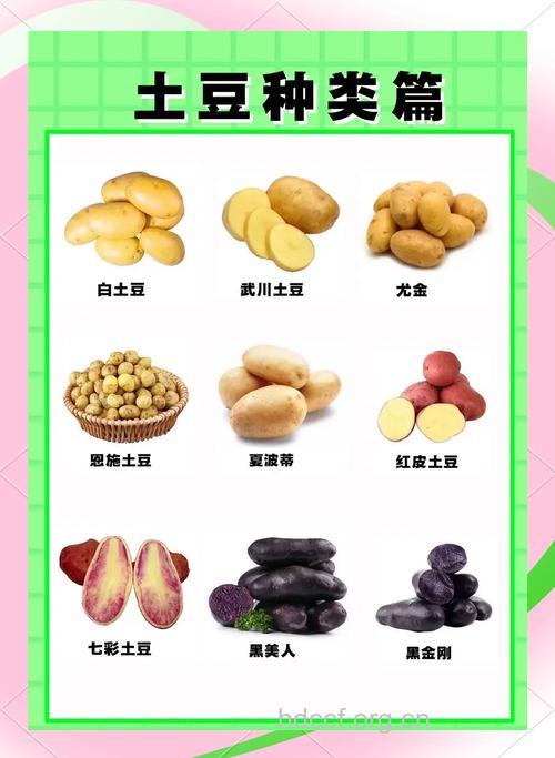 揭秘土豆的5大护肤奇效