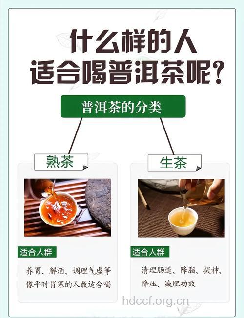 普洱茶能减肥吗 如何选购普洱茶