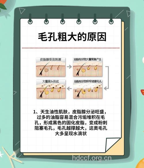 毛孔粗大的原因到底有哪些