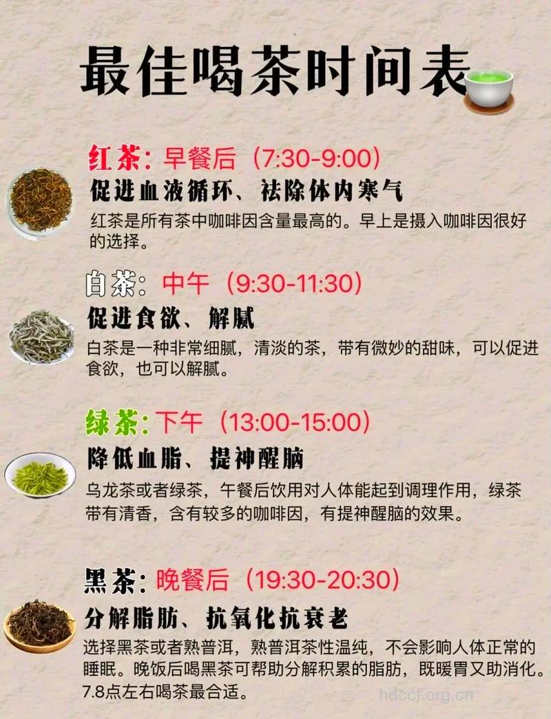 早上空腹喝茶能减肥吗 什么时候喝茶减肥