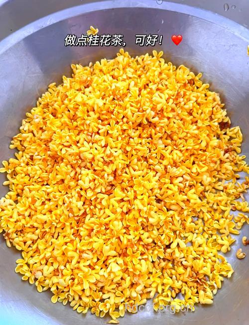 自制减肥茶：桂花茶的做法