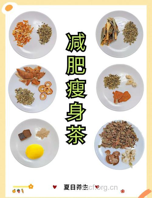 自制轻松消脂减肥茶推荐