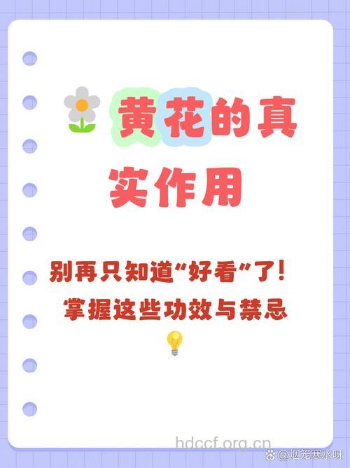 黄花可以美容吗